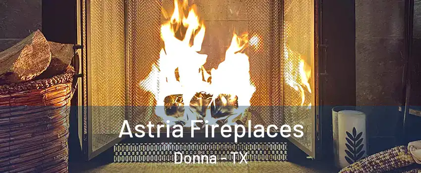  Astria Fireplaces Donna - TX