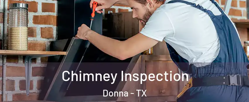  Chimney Inspection Donna - TX