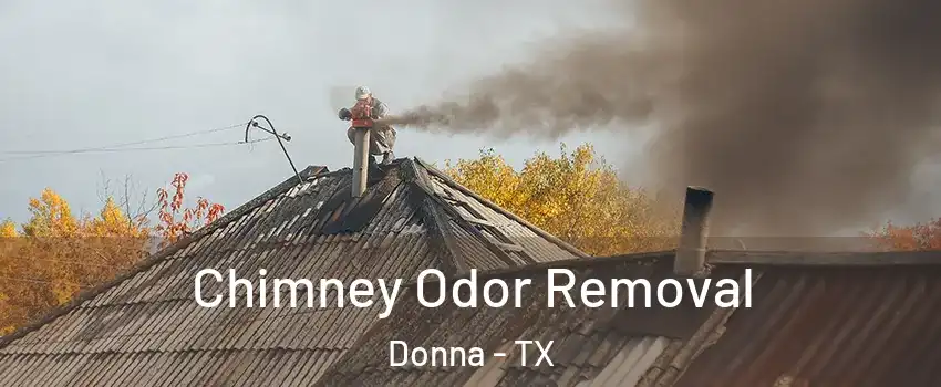  Chimney Odor Removal Donna - TX