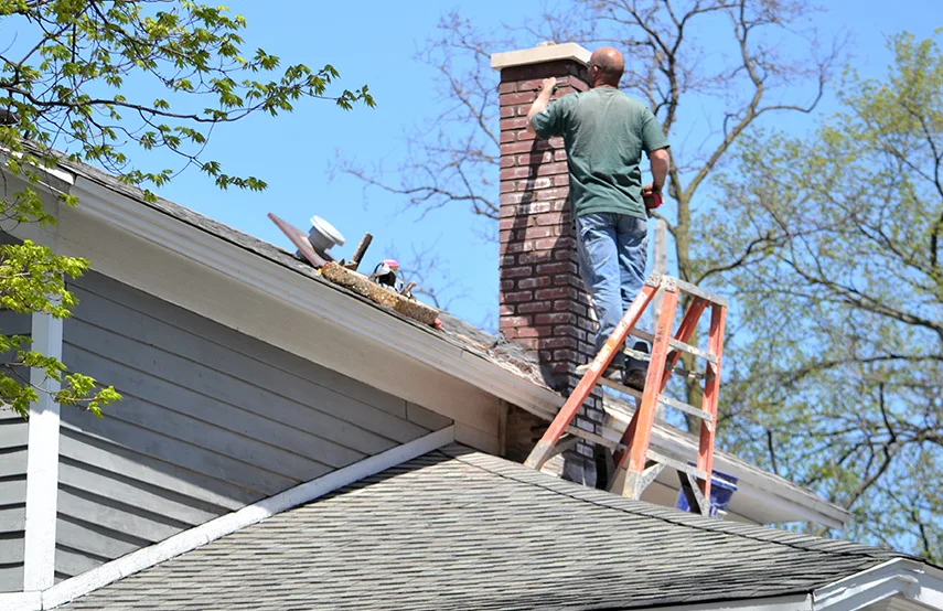 Chimney & Fireplace Inspections Services in Donna, TX