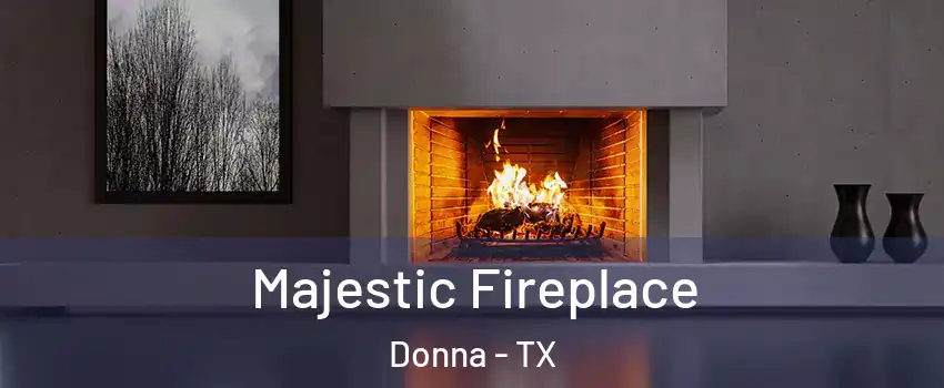  Majestic Fireplace Donna - TX