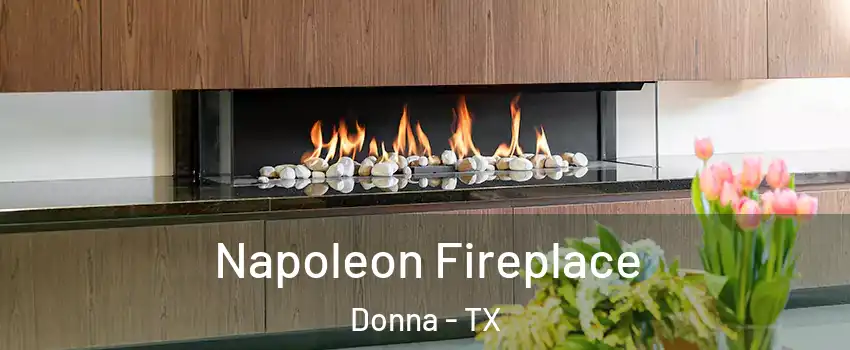  Napoleon Fireplace Donna - TX
